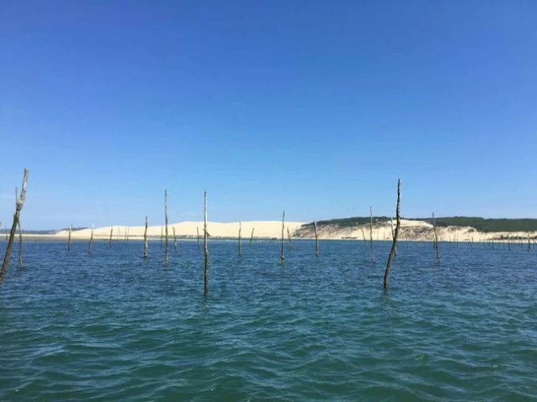 Pronajmout Motorová loď se skipperem či ne Bénéteau v Arcachon
