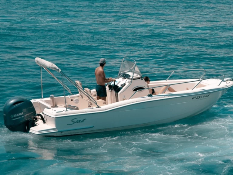 Pronájem Motorová loď Scout s licencí