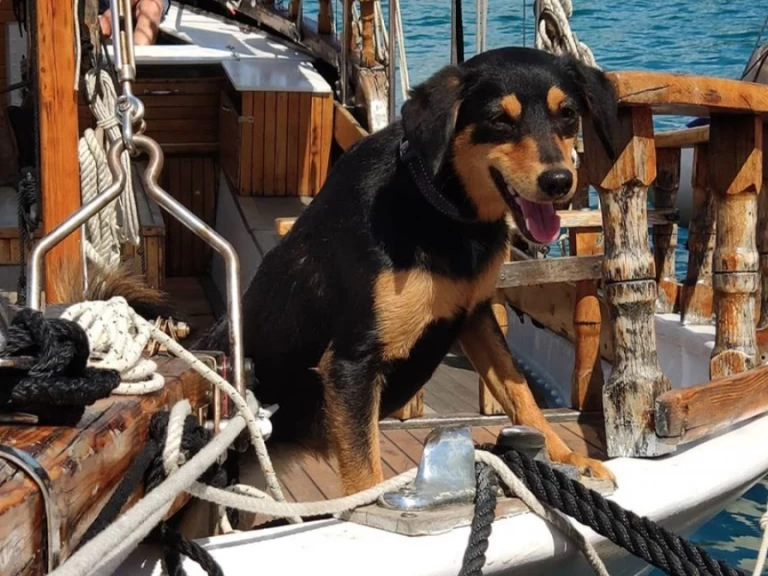 Pronájem jachty v Crikvenica -GAJETA EX-LIFEBOAT na Samboatu