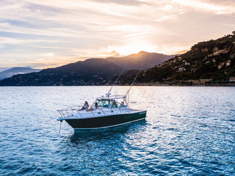 Pronájem Motorová loď PURSUIT  s licencí