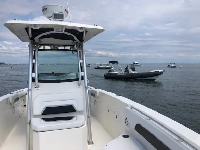 Pronájem lodi Piraillan lákavé ceny Scarab 30 Open