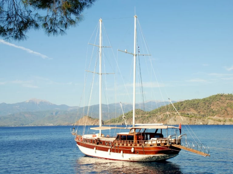 Pronájem Plachetnice  s licencí