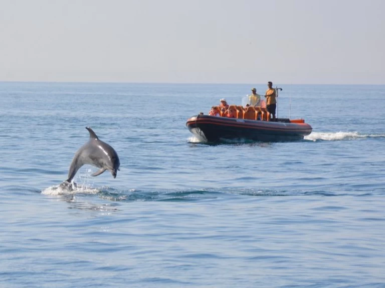 Polotuhá loď k pronájmu v Vilamoura za nejlepší cenu
