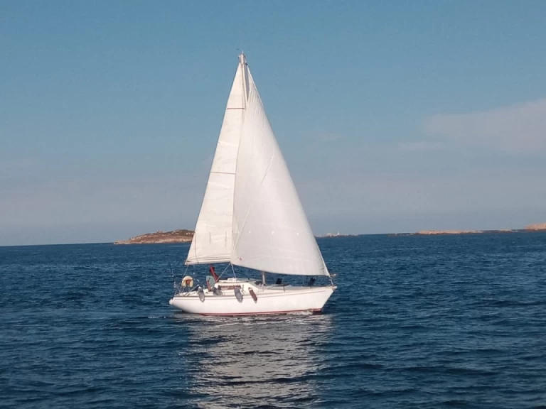 Barberis Sciacchetra jednotlivci a charterové společnosti v Santa Teresa Gallura