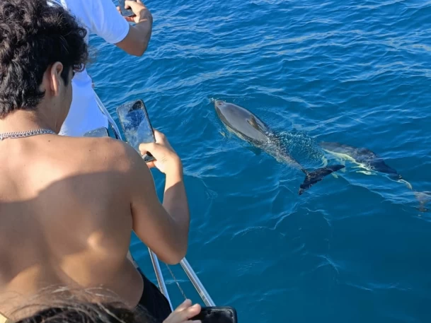 Plachetnice k pronájmu v Fuengirola za nejlepší cenu