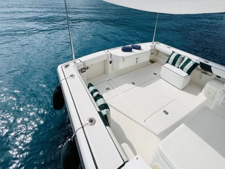 Pronájem Motorová loď PURSUIT  s licencí