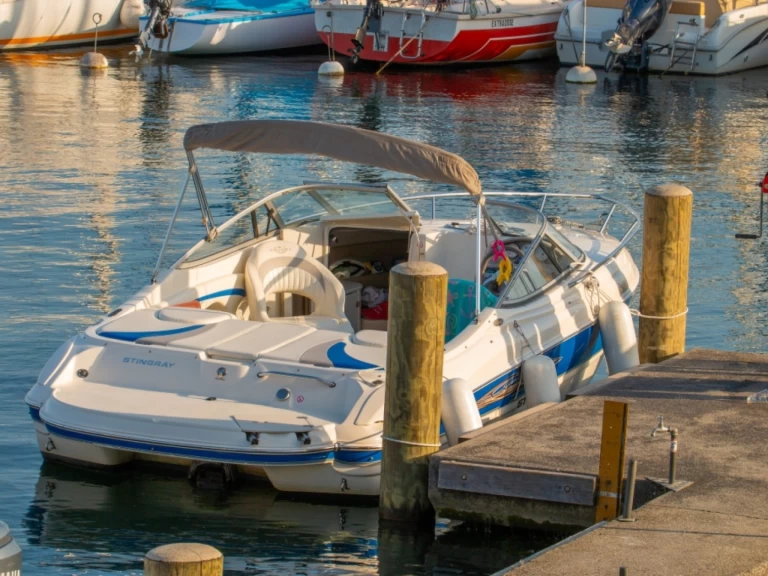 Pronajmout Motorová loď se skipperem či ne Stingray v Geneva (Canton)