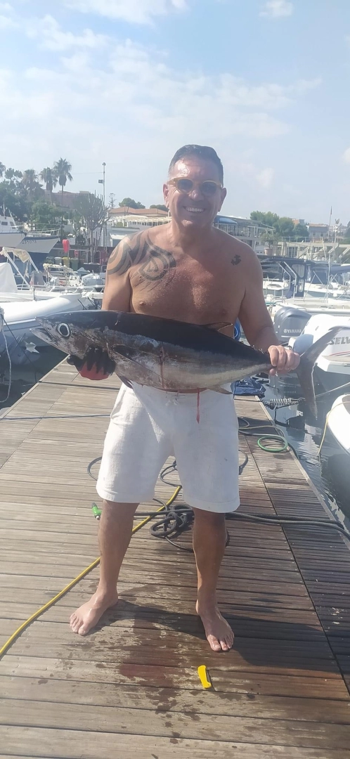 Pronájem lodi Sealine Ambassador 360 v Ognina - Picanello - Barriera - Canalicchio na Samboatu