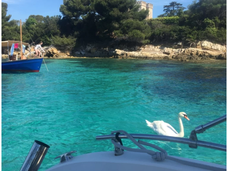 Chris Craft Sea Hawk 213 jednotlivci a charterové společnosti v Cannes