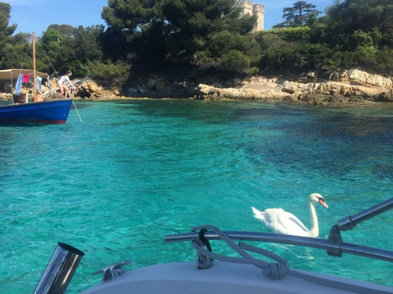 Ranieri Shadow 22 S jednotlivci a charterové společnosti v Cannes