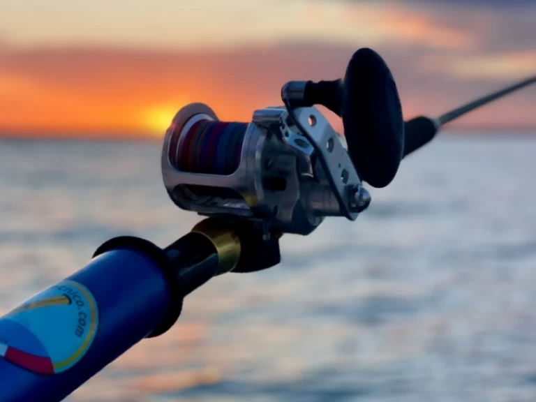 Pronajmout Polotuhá loď se skipperem či ne Perondi v Porto Cesareo (Port)