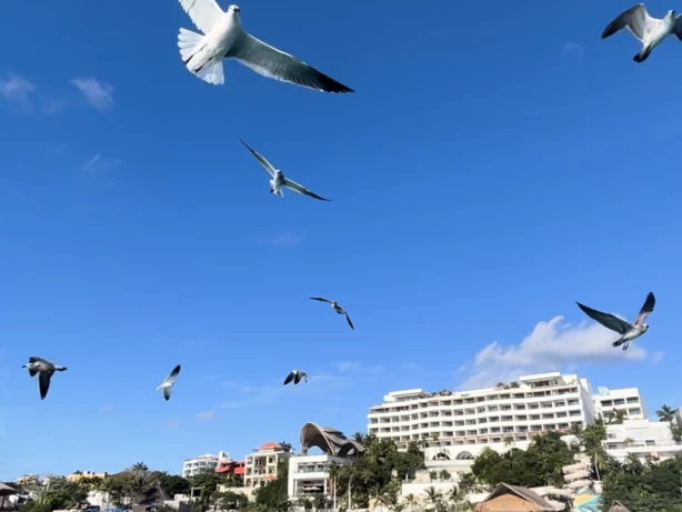Sea Ray Sea Ray Flybridge jednotlivci a charterové společnosti v Cancún