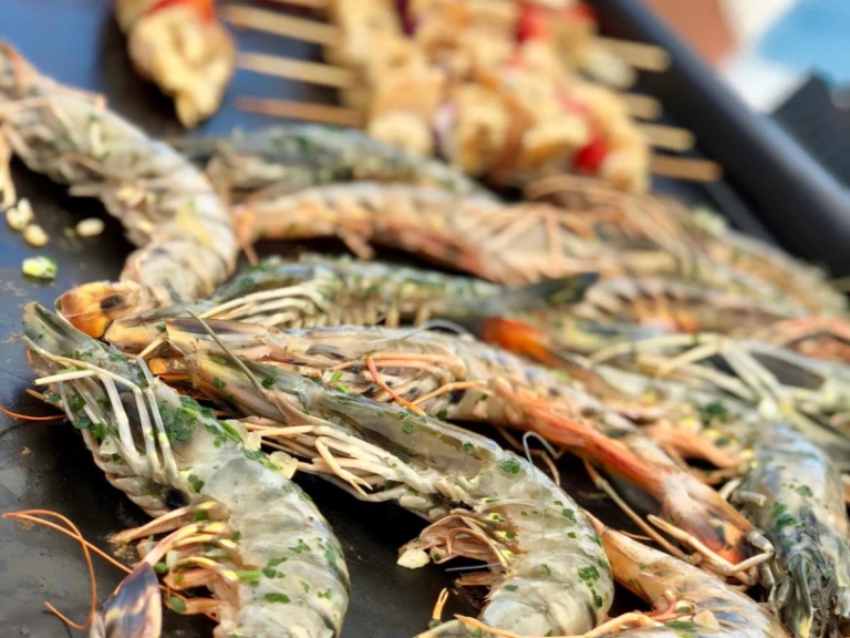 Pronájem Katamarán Plan-Caroff s licencí