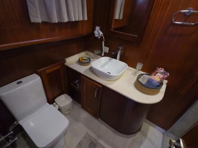 Pronájem Plachetnice  s licencí