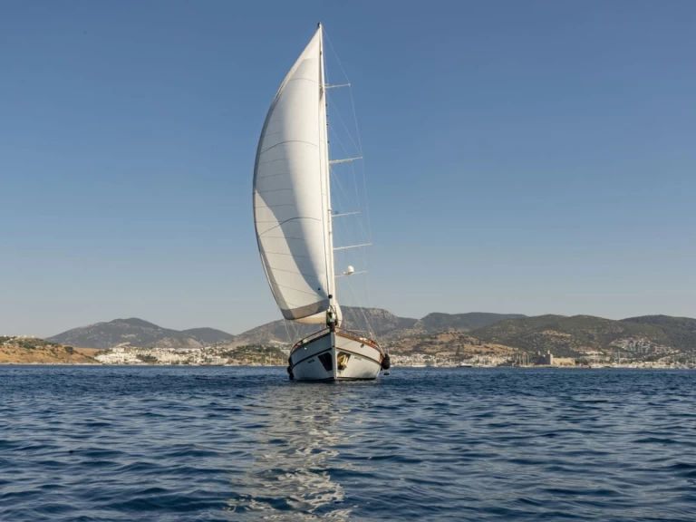 Pronájem Plachetnice Custom Made s licencí