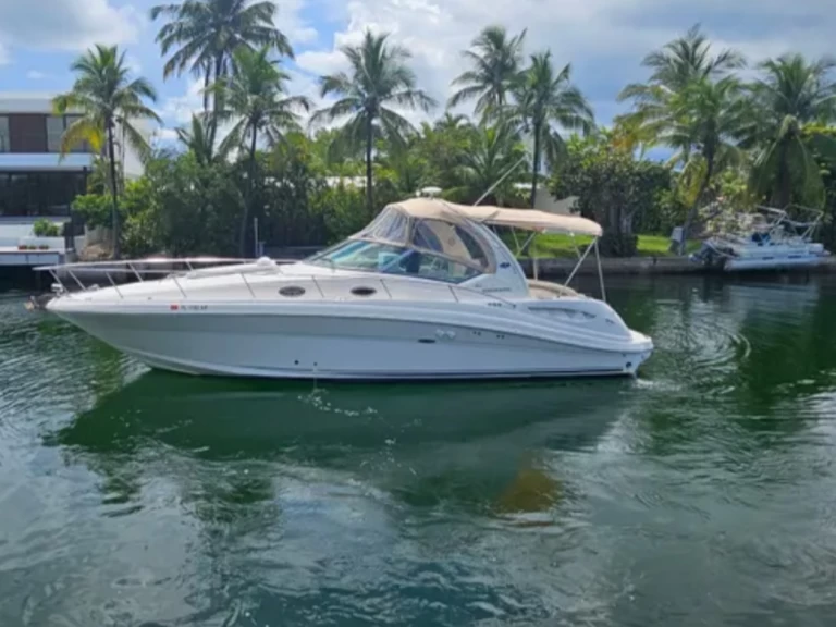 Sea Ray Sea Ray 340 Sundancer jednotlivci a charterové společnosti v Miami