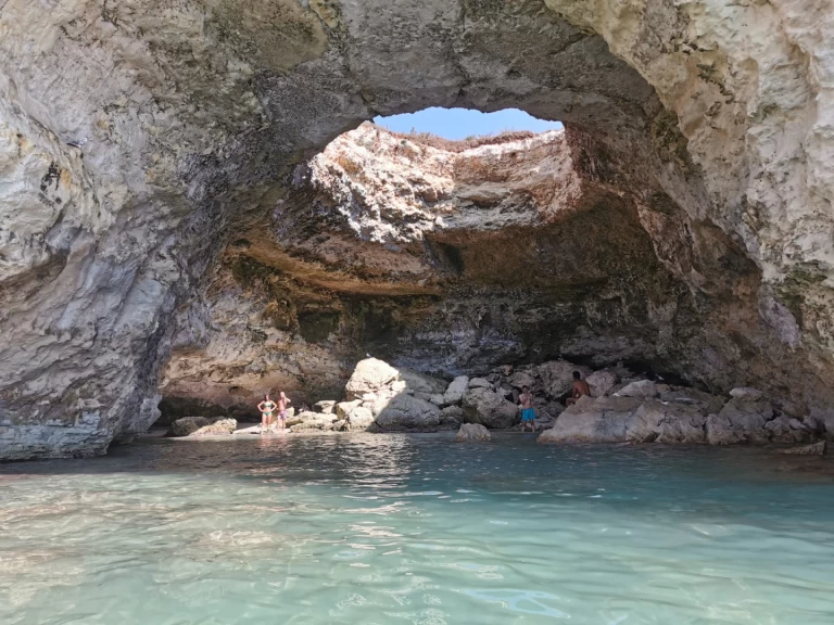 Pasca dolphin 25 jednotlivci a charterové společnosti v Otranto