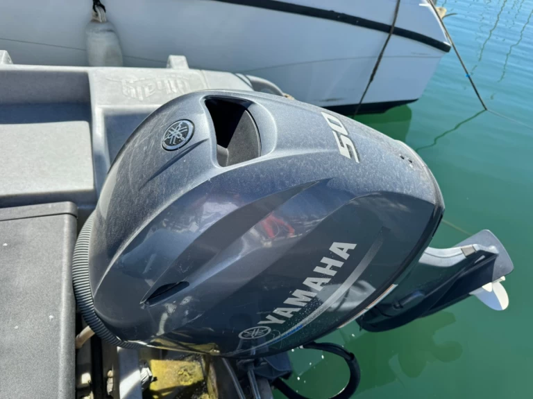 Pronájem Polotuhá loď Whaly s licencí