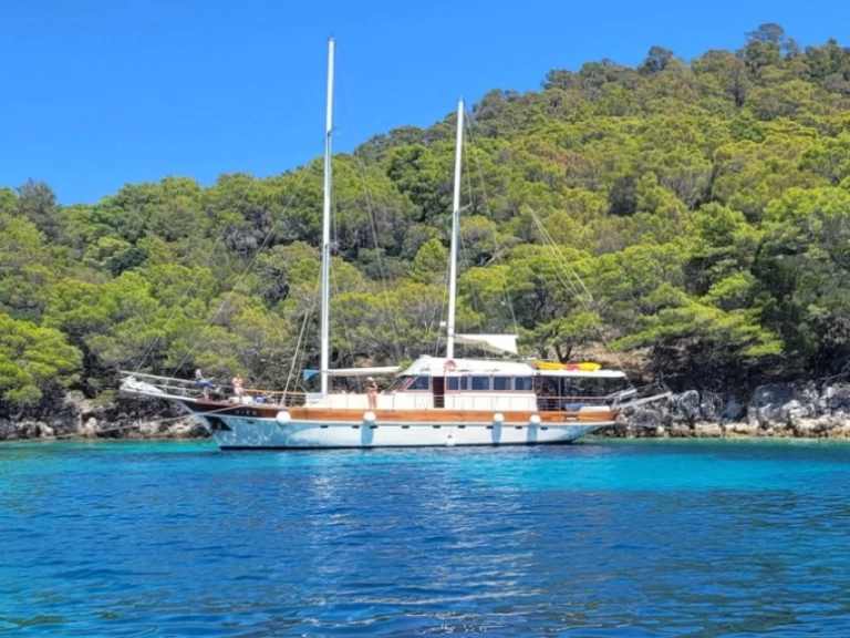 Pronajmout si Custom Made Vito v Split