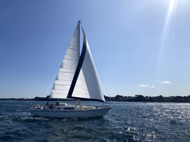 Pronajmout si Amel kirk 36 v Saint-Mandrier-sur-Mer