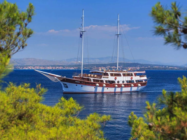 Pronájem Plachetnice  s licencí