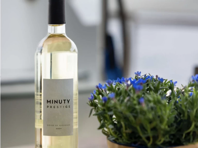 Pronájem Katamarán Lagoon s licencí