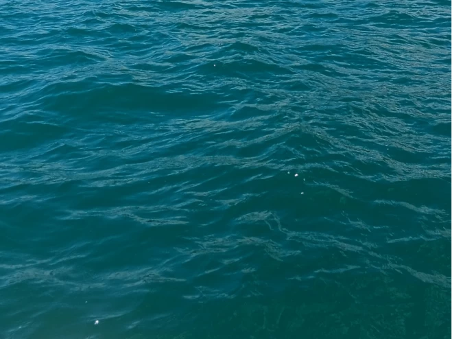 Pronajmout si Bénéteau Flyer 650 WA v Le Cap d'Agde