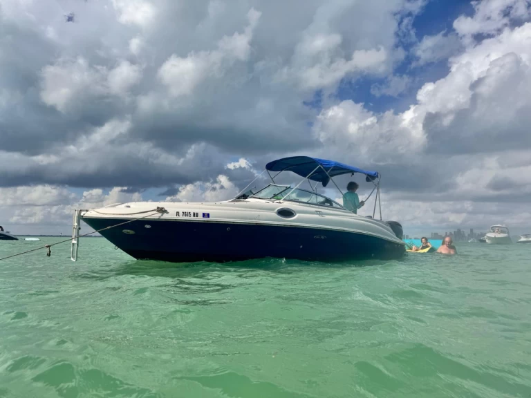 Pronájem lodi Miami lákavé ceny Sea Ray 260 Sundeck