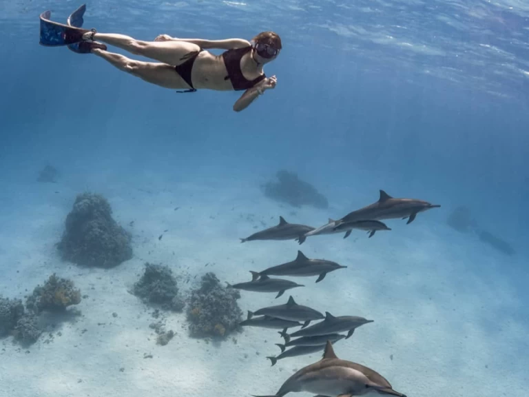 Pronájem jachty v Marsa Alam -Bali Bali 4.0 na Samboatu