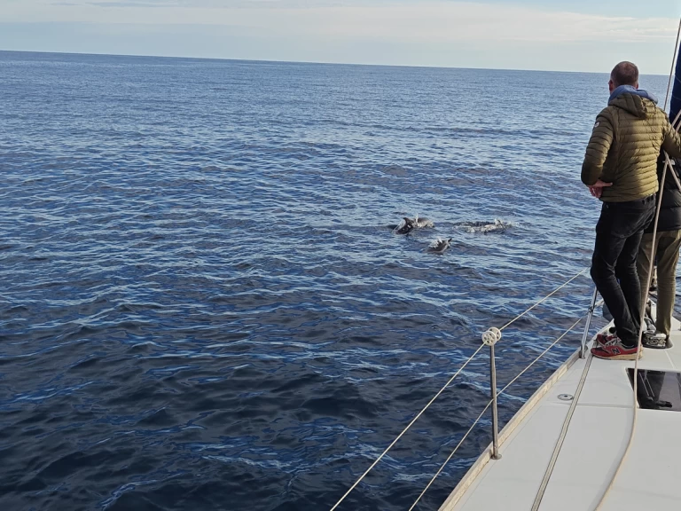 Plachetnice k pronájmu v Saint-Cyprien-Plage za nejlepší cenu