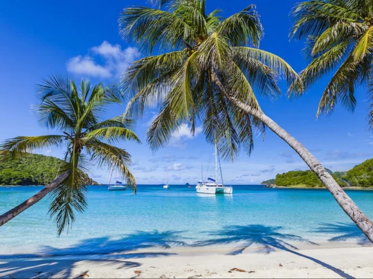 Katamarán k pronájmu v Saint Vincent (Island) za nejlepší cenu