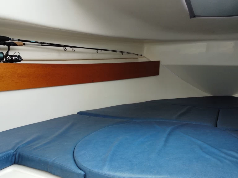 Motorová loď k pronájmu v Sciez za nejlepší cenu