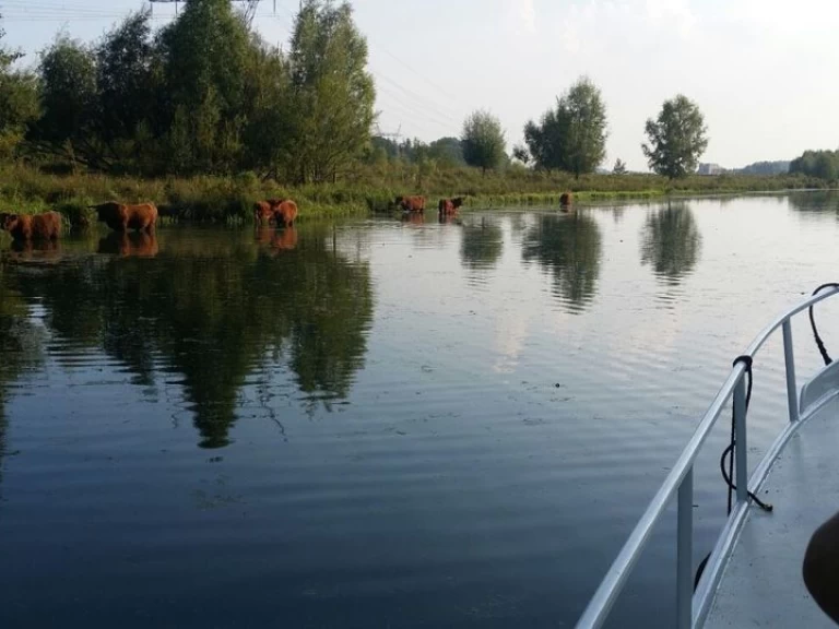 Motorová loď k pronájmu v Bunschoten za nejlepší cenu