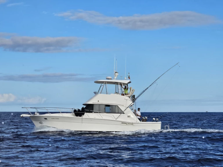 Pronájem Motorová loď v Ponta Delgada (São Pedro) -Riviera Riviera 39 Open Flybridge