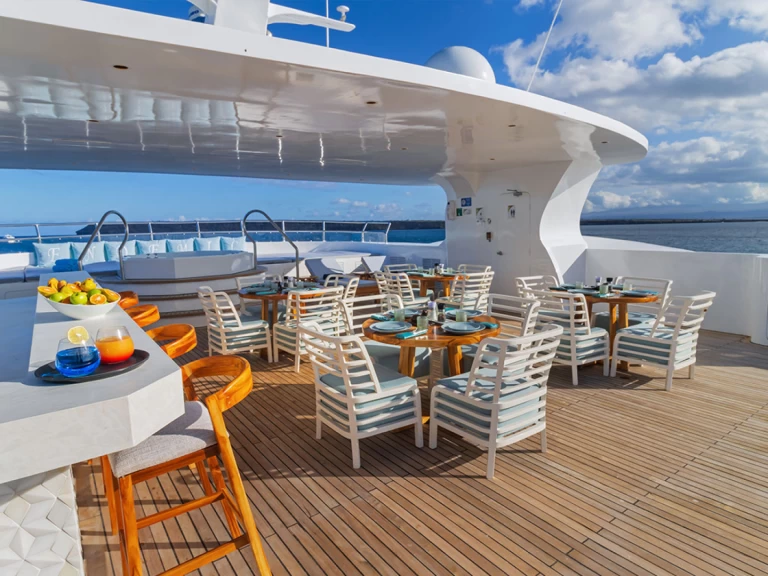 Pronájem Jachta  s licencí