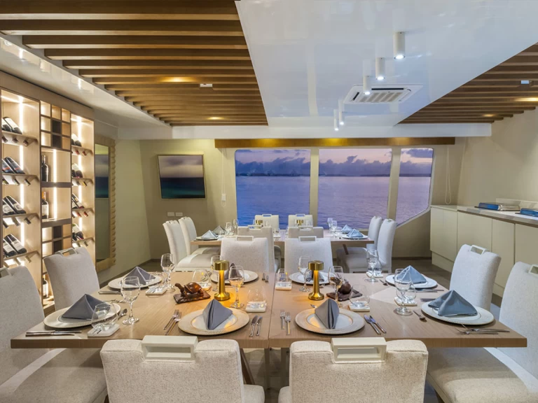  Power Cat - Endemic jednotlivci a charterové společnosti v Baltra Island