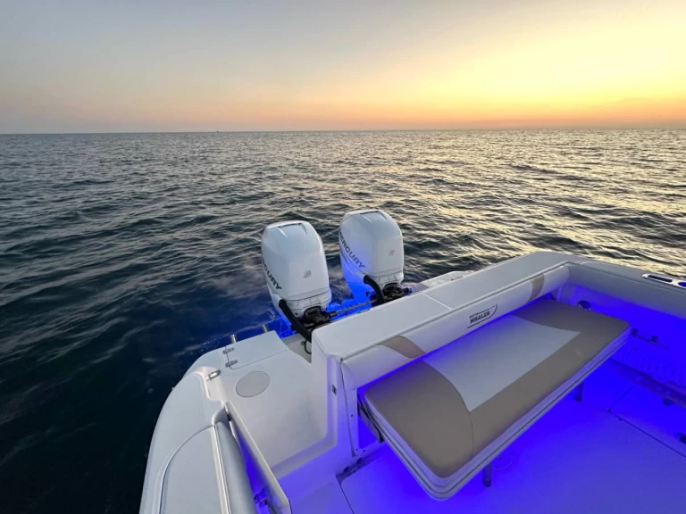 Pronájem Motorová loď v Ýdra -Boston Whaler Boston Whaler 320 Outrage