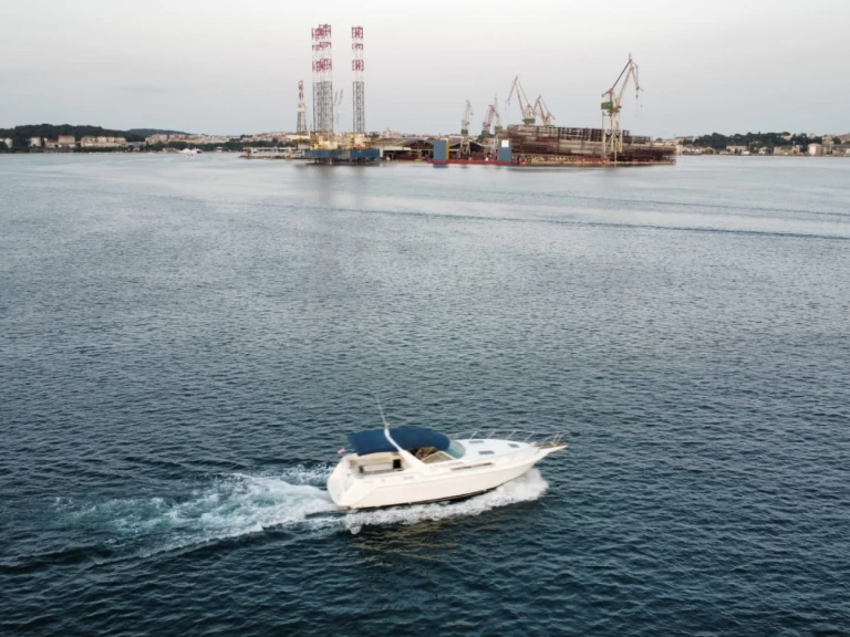 Pronájem Motorová loď Chris Craft s licencí