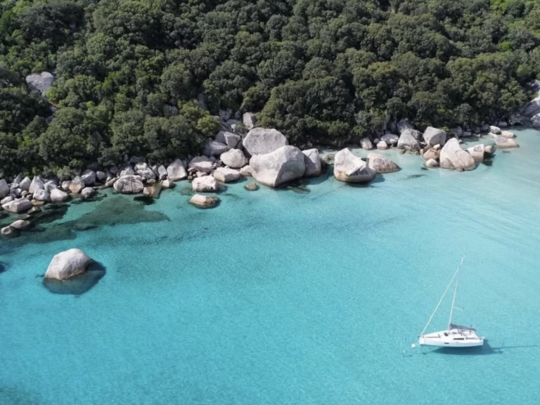 Pronájem Polotuhá loď Saver s licencí