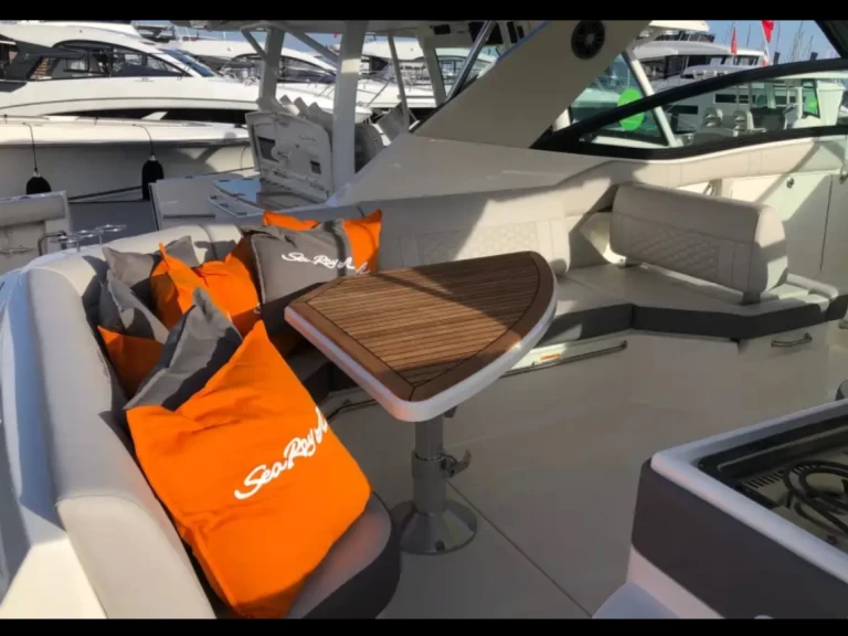 Pronájem Motorová loď Sea Ray s licencí