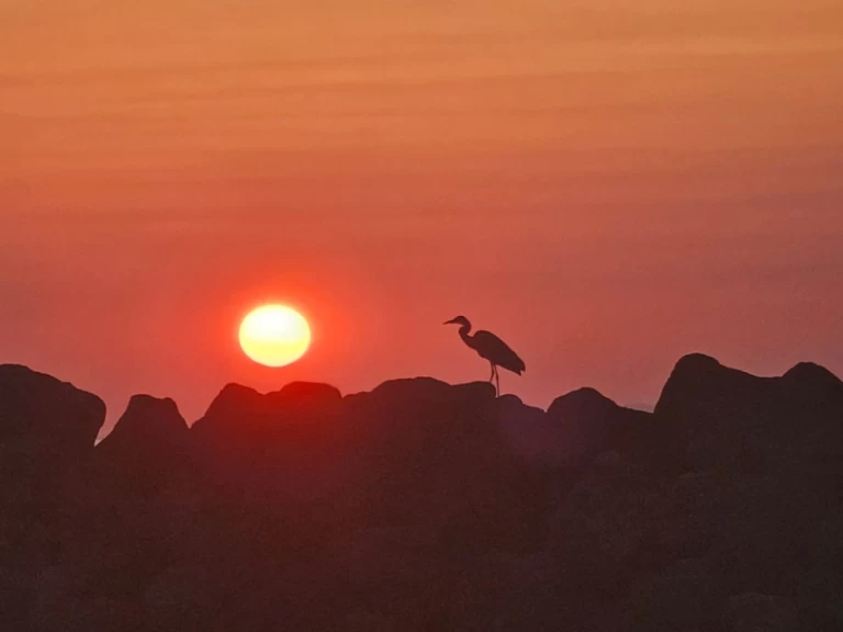 Pronájem lodi Marco 26 v Oía na Samboatu