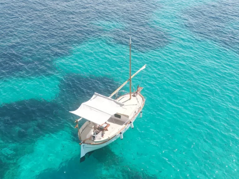 Motorová loď k pronájmu v Portals Nous za nejlepší cenu