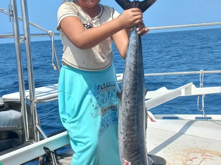 Pronájem Katamarán Wharram s licencí