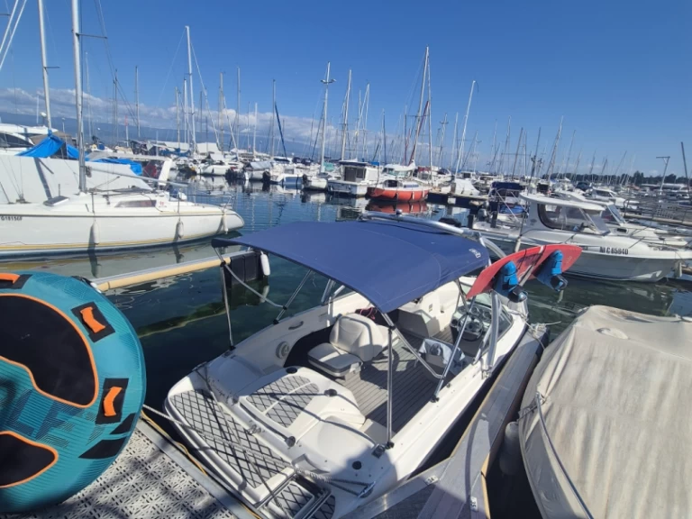 Pronájem Motorová loď Bayliner s licencí