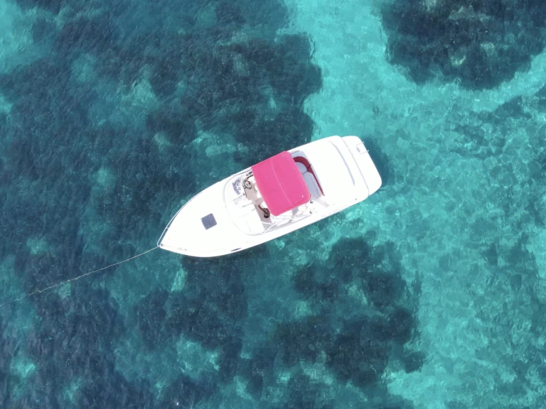Pronájem jachty v Vieux Port de Cannes -Rinker Captiva 232 Cudy na Samboatu