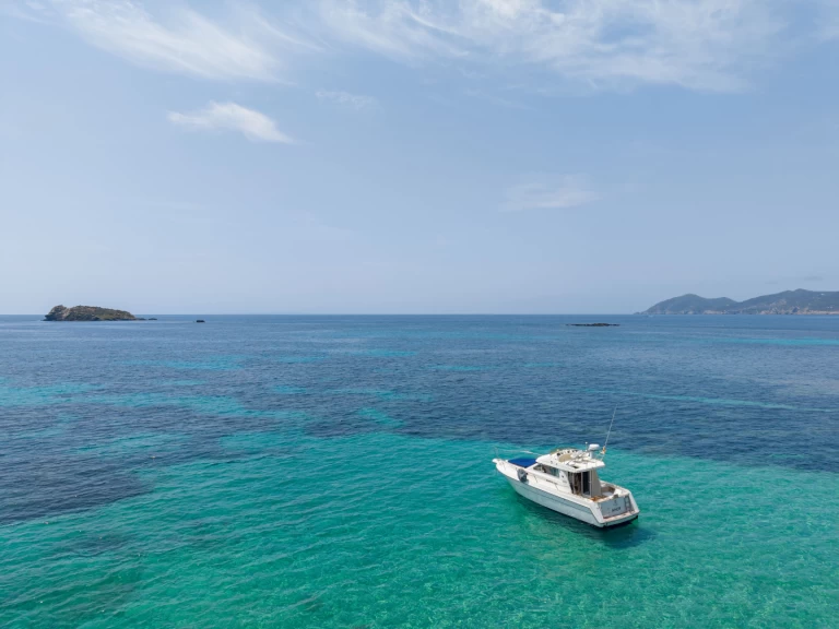 Pronajmout si Rodman Rodman 900 v Santa Eularia des Riu