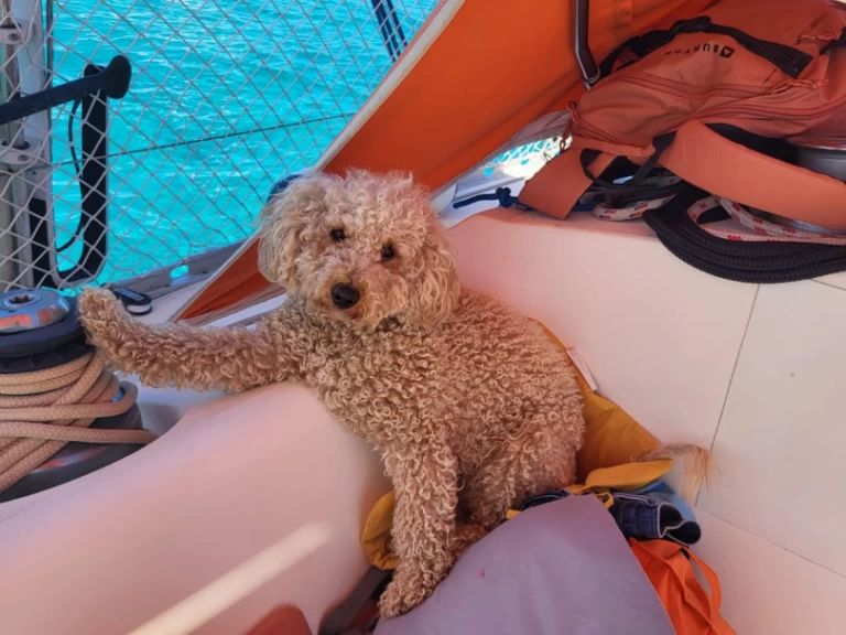 Pronájem lodi Saint-Florent lákavé ceny Sun Fizz