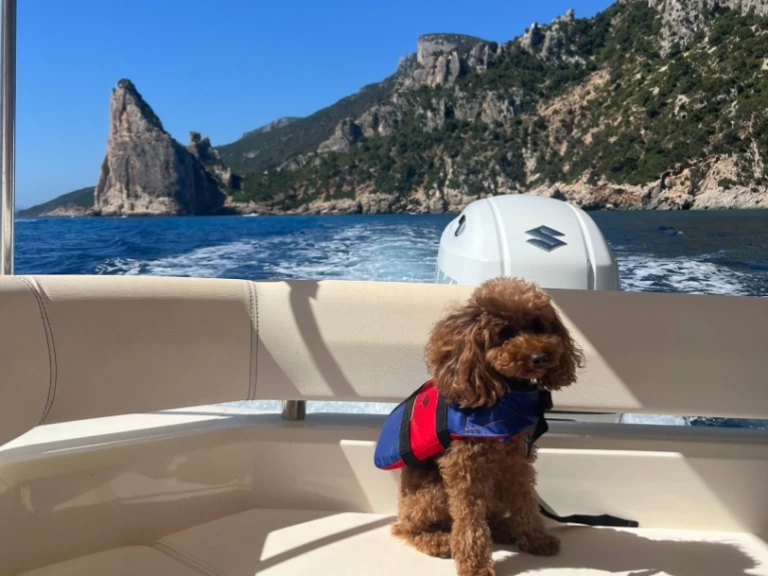 Pronajmout si Bsc BSC 70 Classic v Villasimius