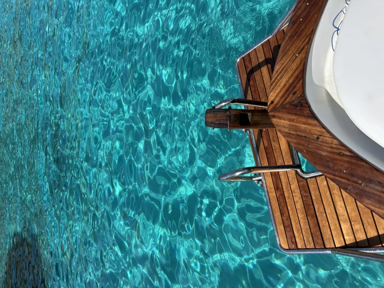 Salpa Vesuvio jednotlivci a charterové společnosti v Palau