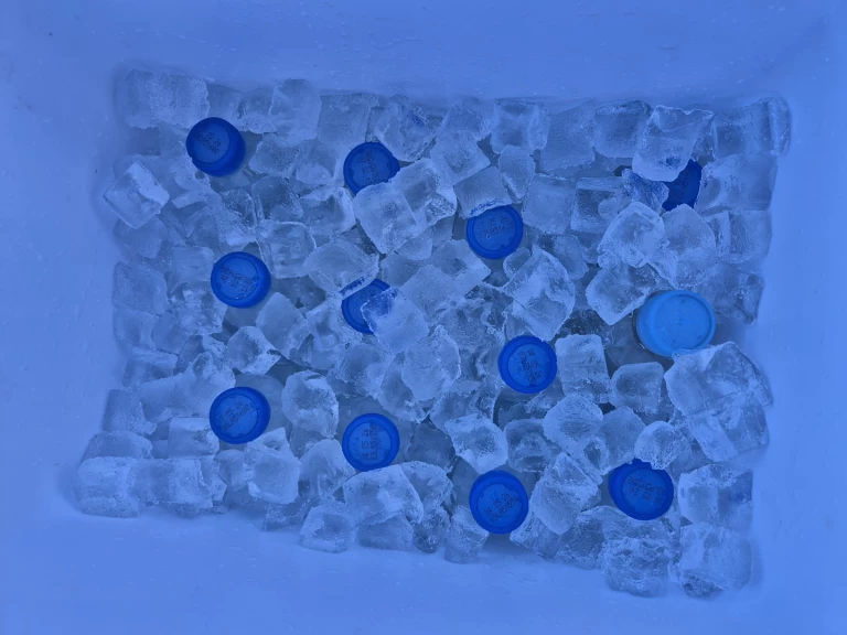 Pronájem jachty v Makarska -Cap755cc Cap755cc na Samboatu